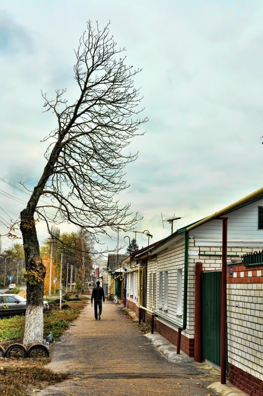 Man and tree
