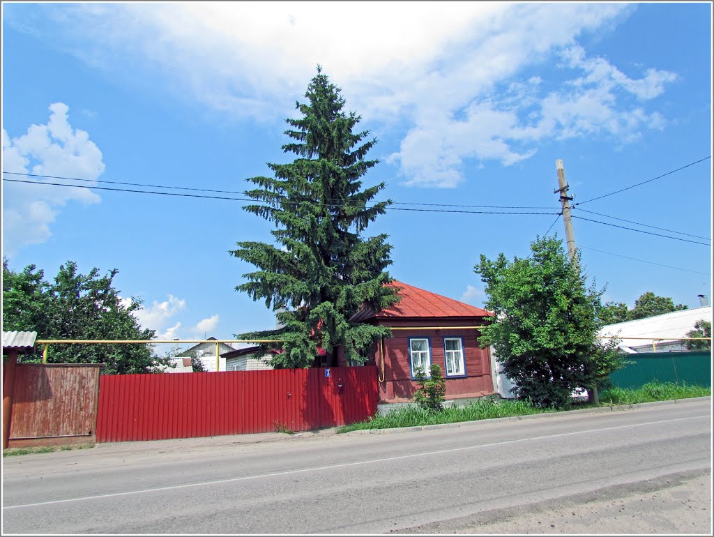 Скромный домик Борисоглебска