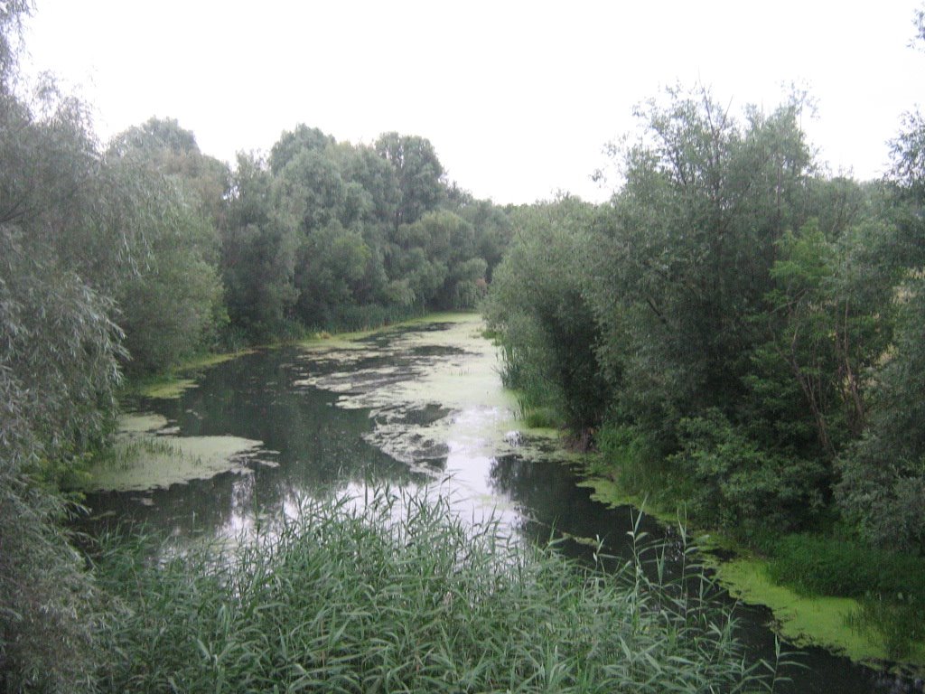 Река Осередь