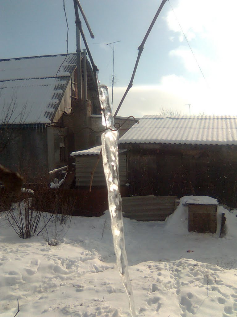 Сосулька на виноградной лозе