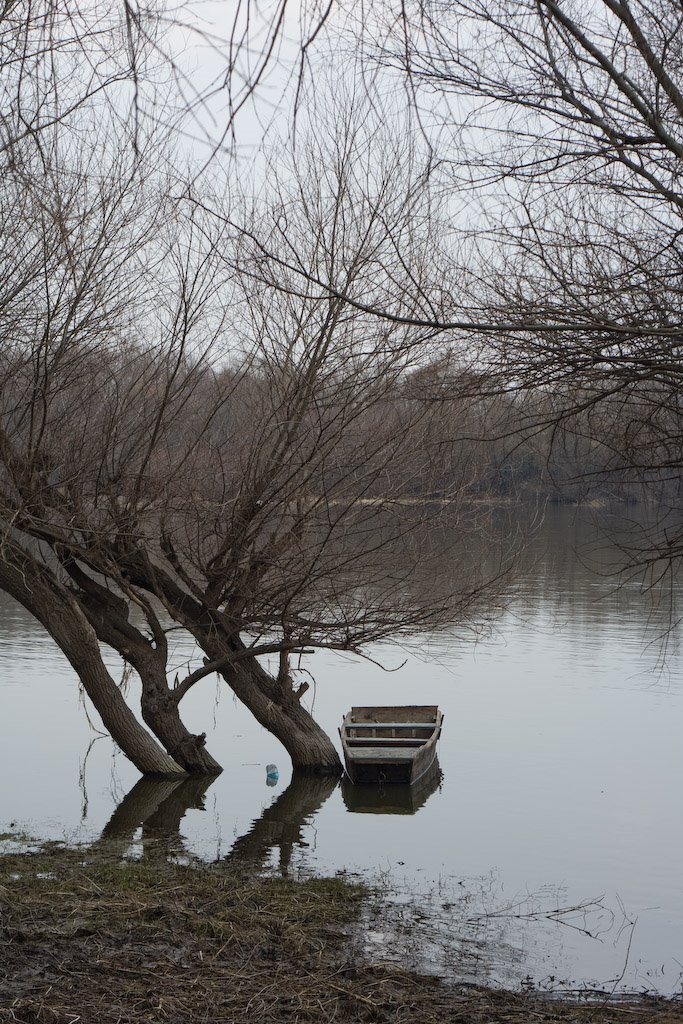 Spring flood on the river Don