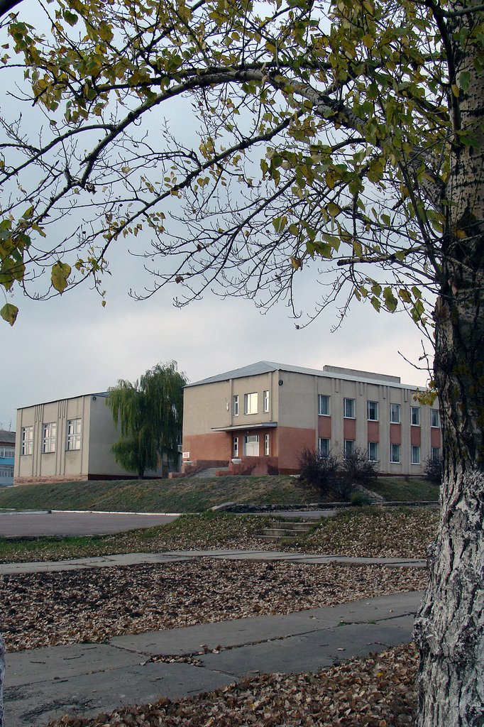 Верхний Мамон. Районный дом культуры.