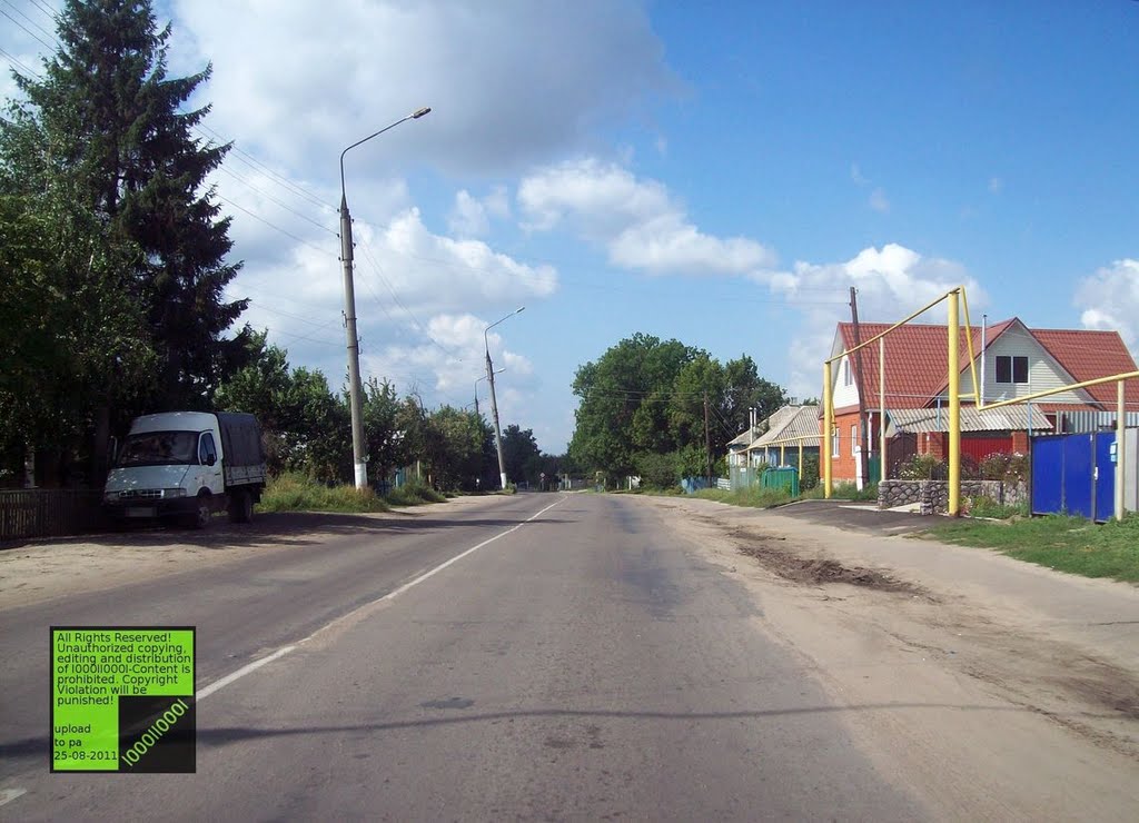 Верхний Мамон, (08-2011)