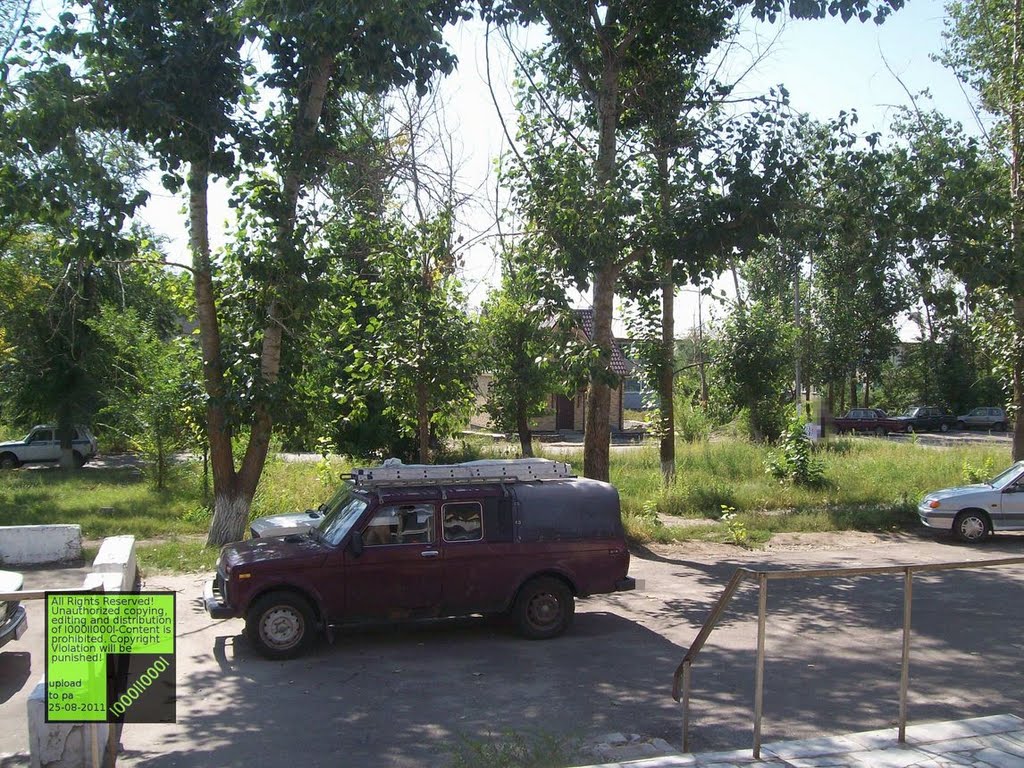 Верхний Мамон, Pickup (08-2011)