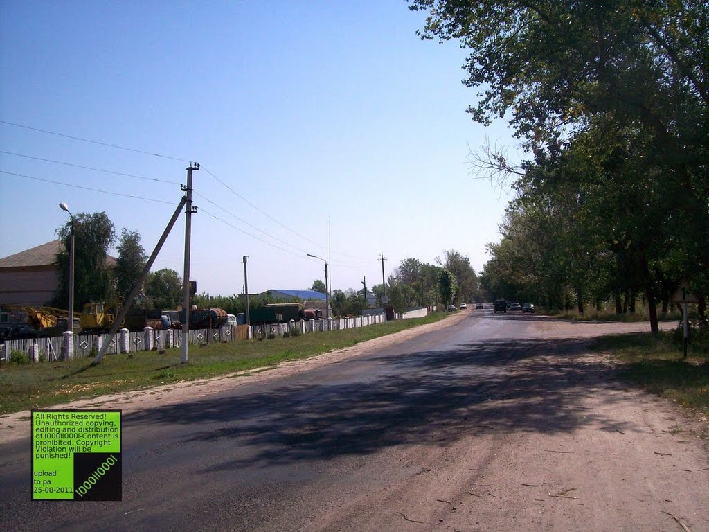Верхний Мамон, (08-2011)