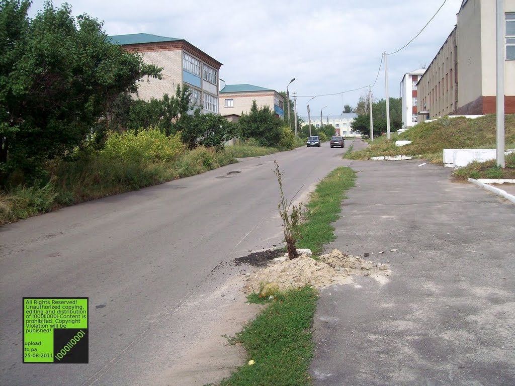 Верхний Мамон, дерево :o) (08-2011)