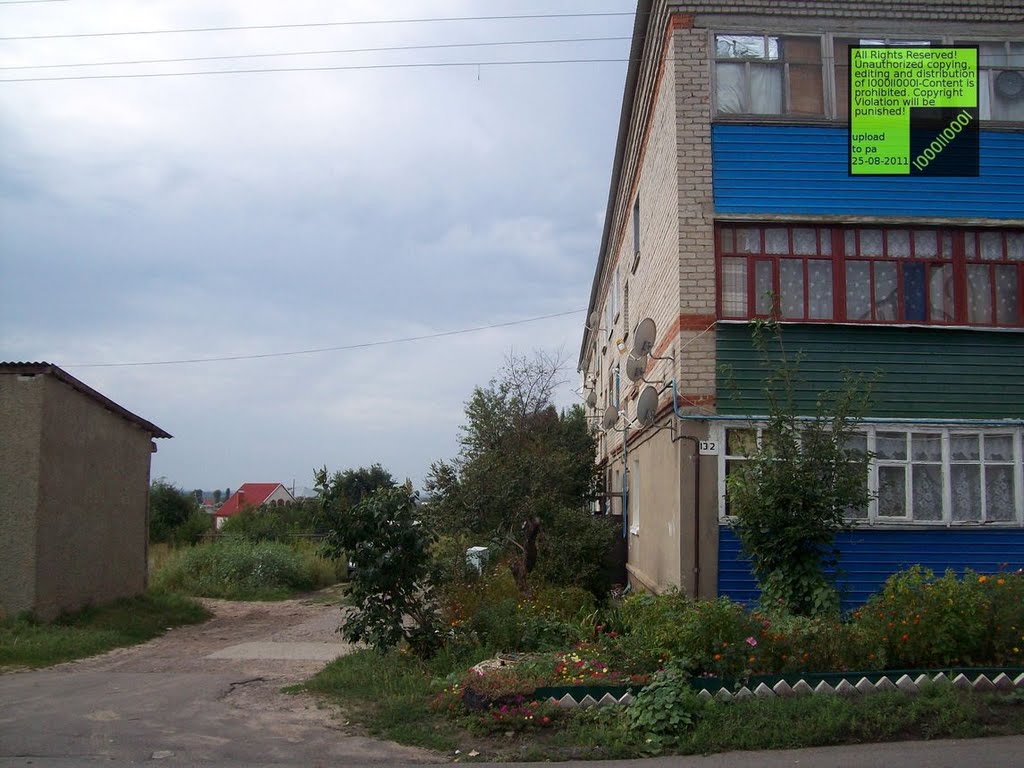 Верхний Мамон, (08-2011)