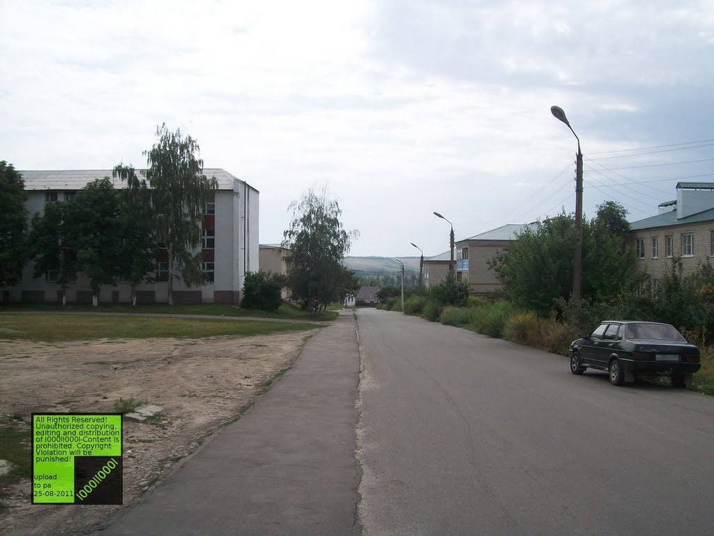 Верхний Мамон, (08-2011)
