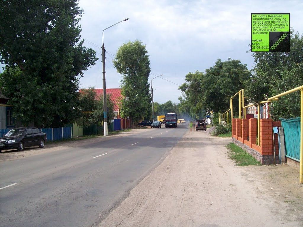 Верхний Мамон, (08-2011)
