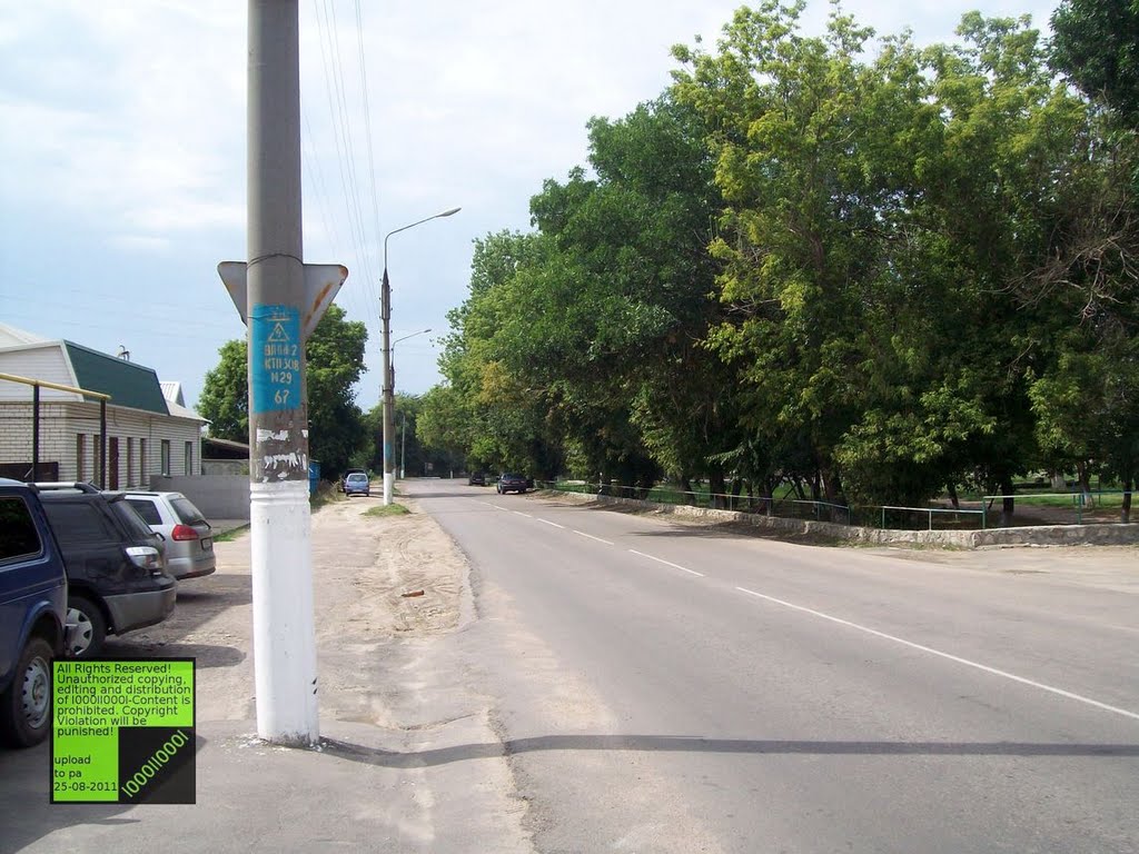 Верхний Мамон, (08-2011)