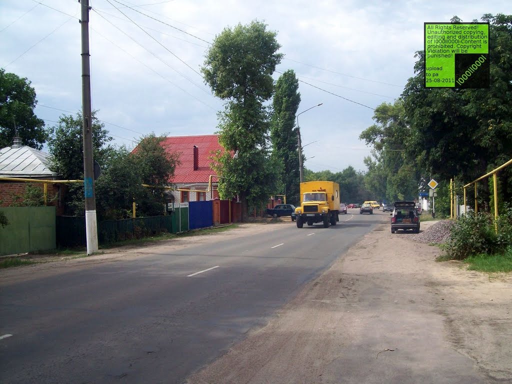 Верхний Мамон, (08-2011)