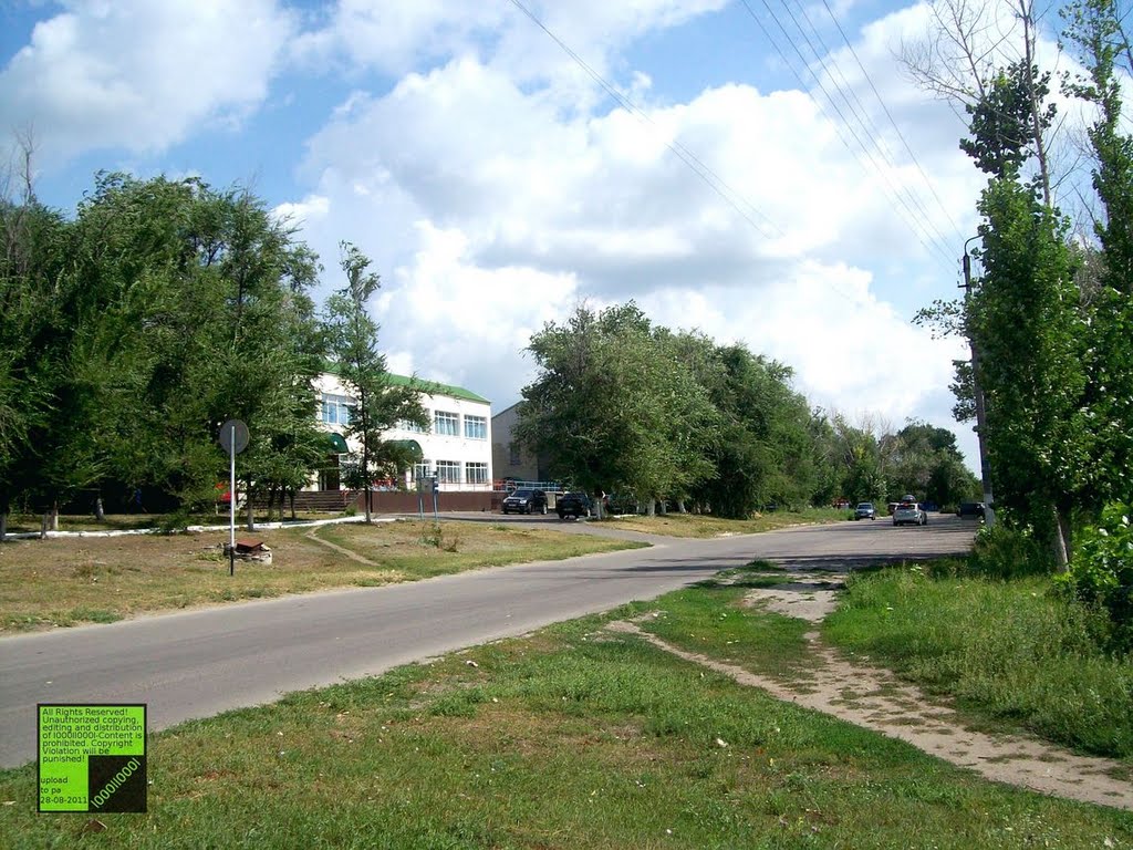Верхний Мамон, (08-2011)