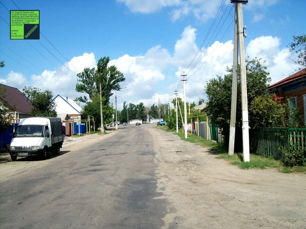 Верхний Мамон, (08-2011)