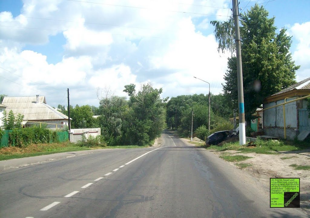 Верхний Мамон, (08-2011)