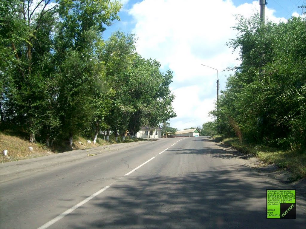 Верхний Мамон, (08-2011)