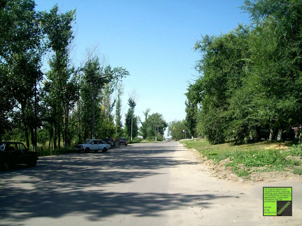 Верхний Мамон, (08-2011)