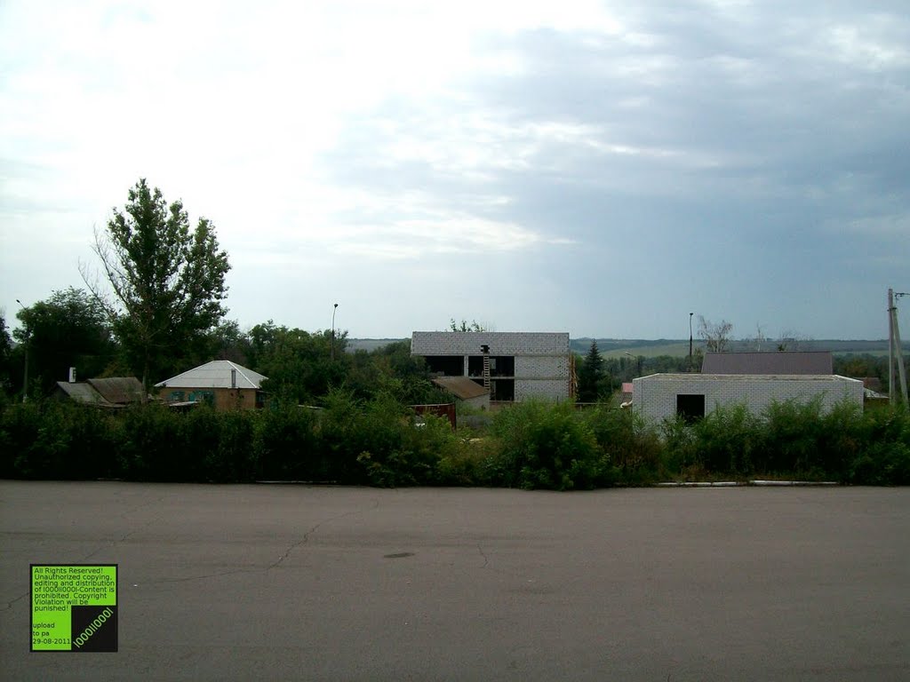Верхний Мамон, (08-2011)