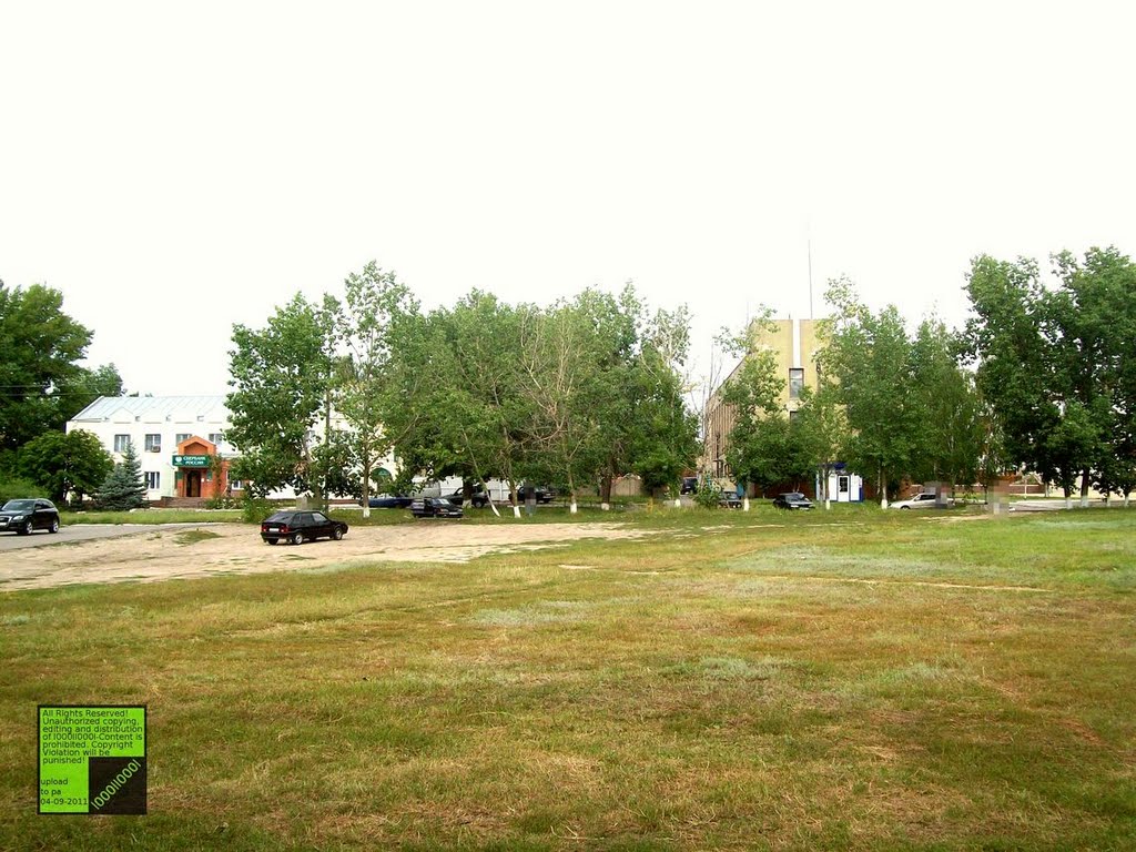 Верхний Мамон, (08-2011)