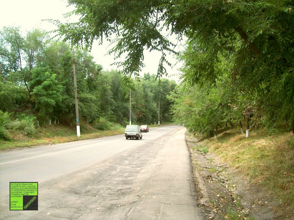 Верхний Мамон, (08-2011)