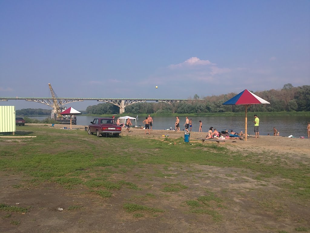 пляж на Дону