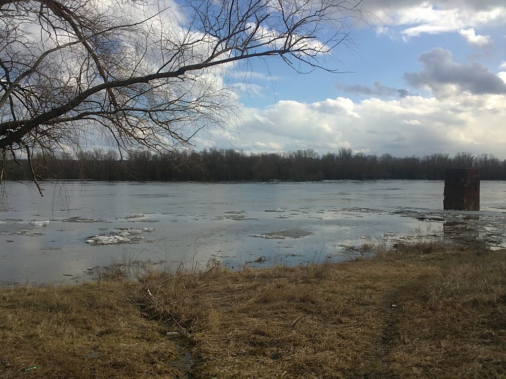 на Дону ледоход