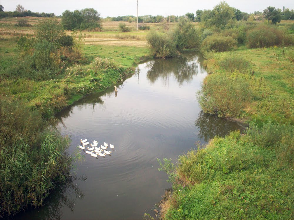 река Хава