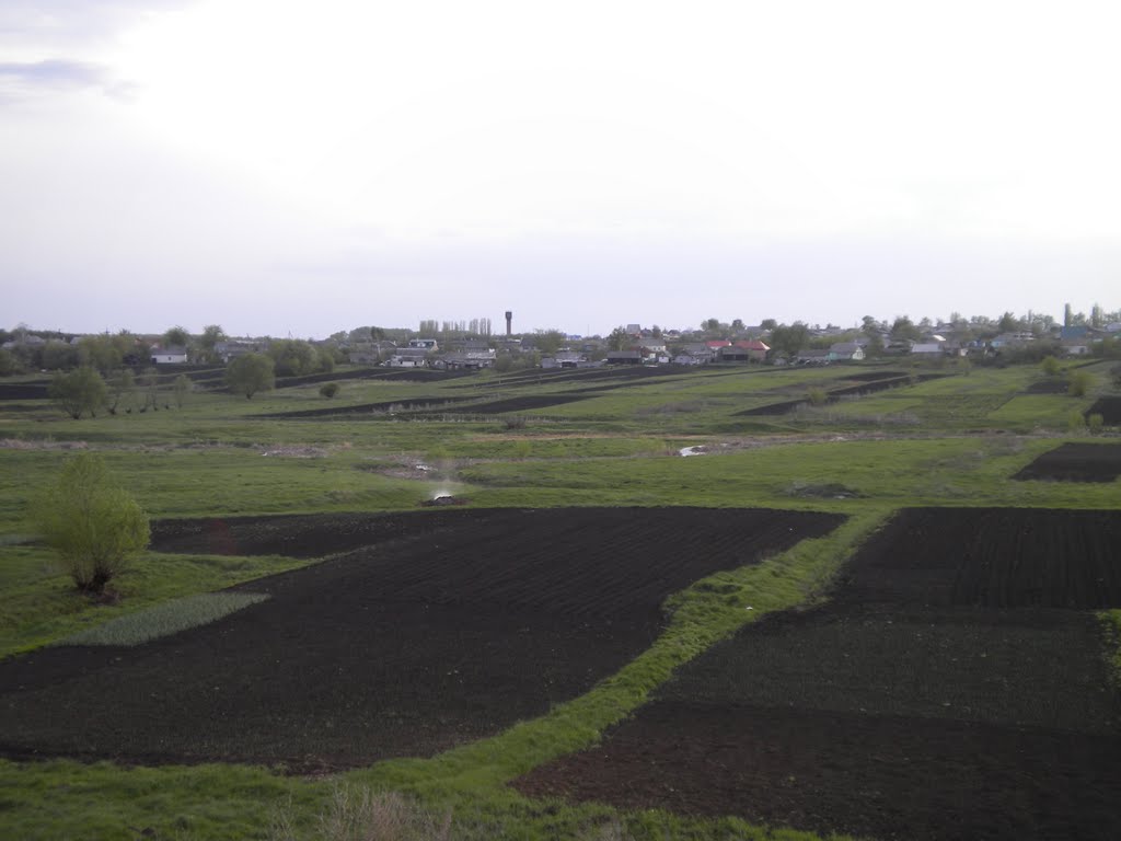 панорама