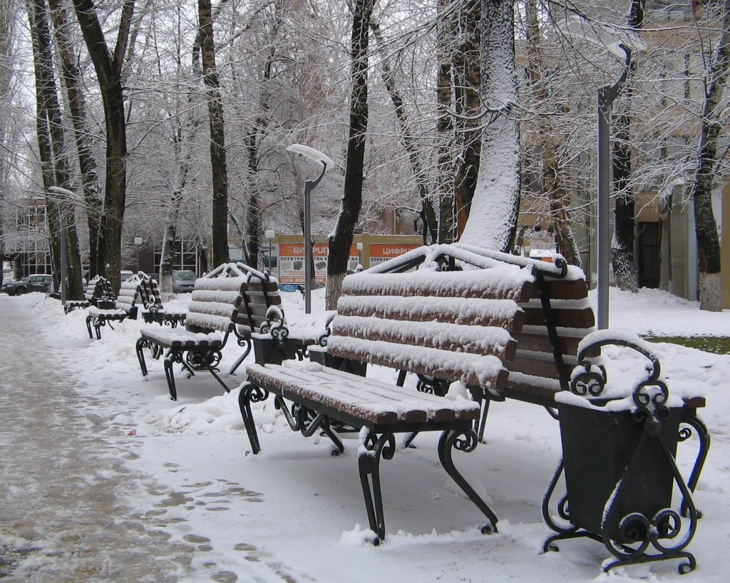 Воронеж. Россия