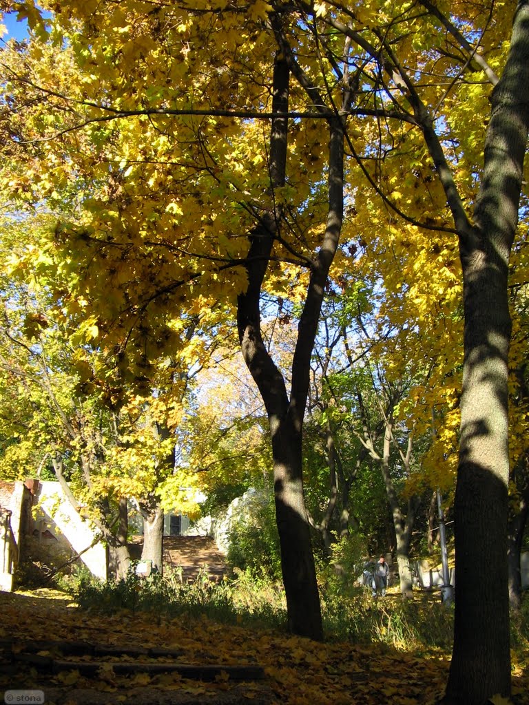 Воронеж. Россия