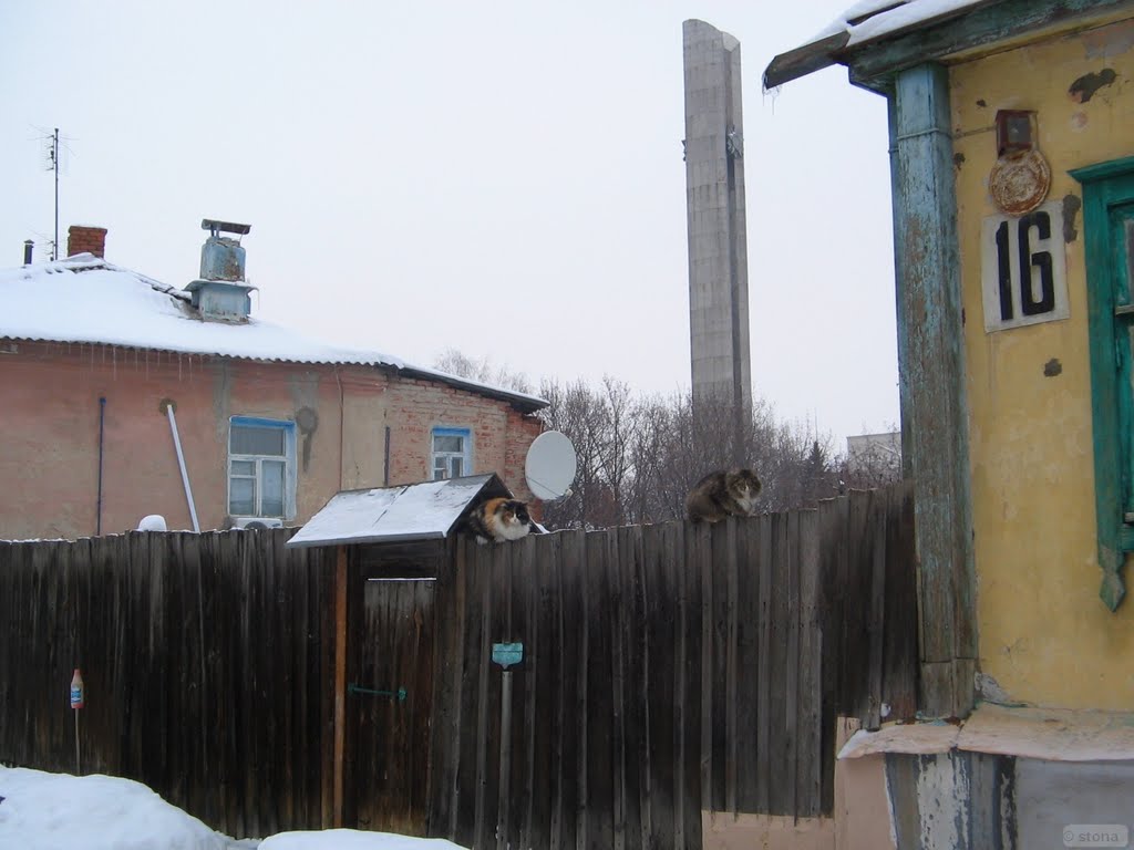 Улица Правая Суконовка. Воронеж. Россия
