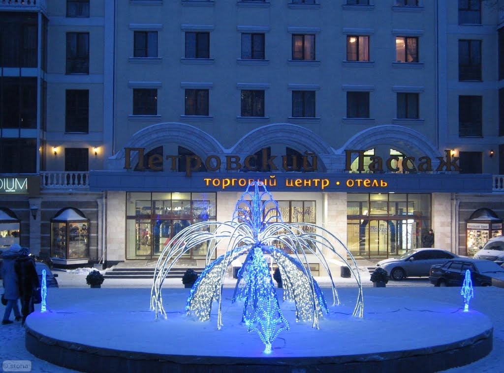 Световой фонтан. Петровский парк.  Воронеж. Россия