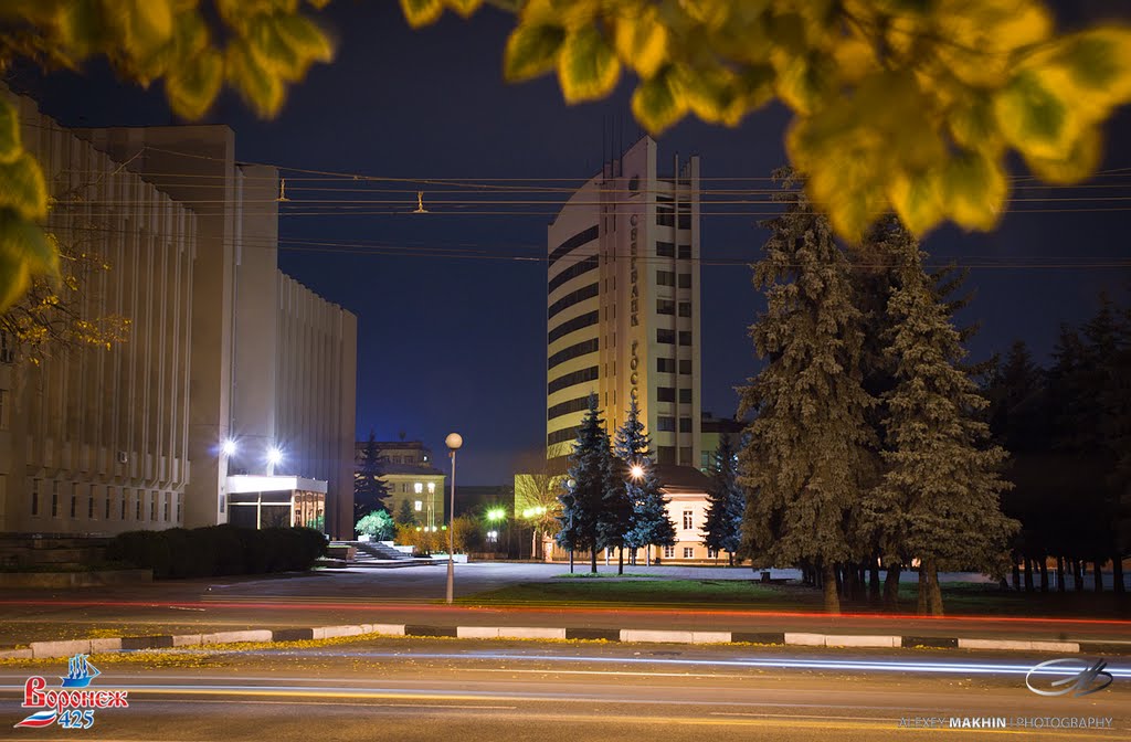 Voronezh city at night  / Ночной Воронеж