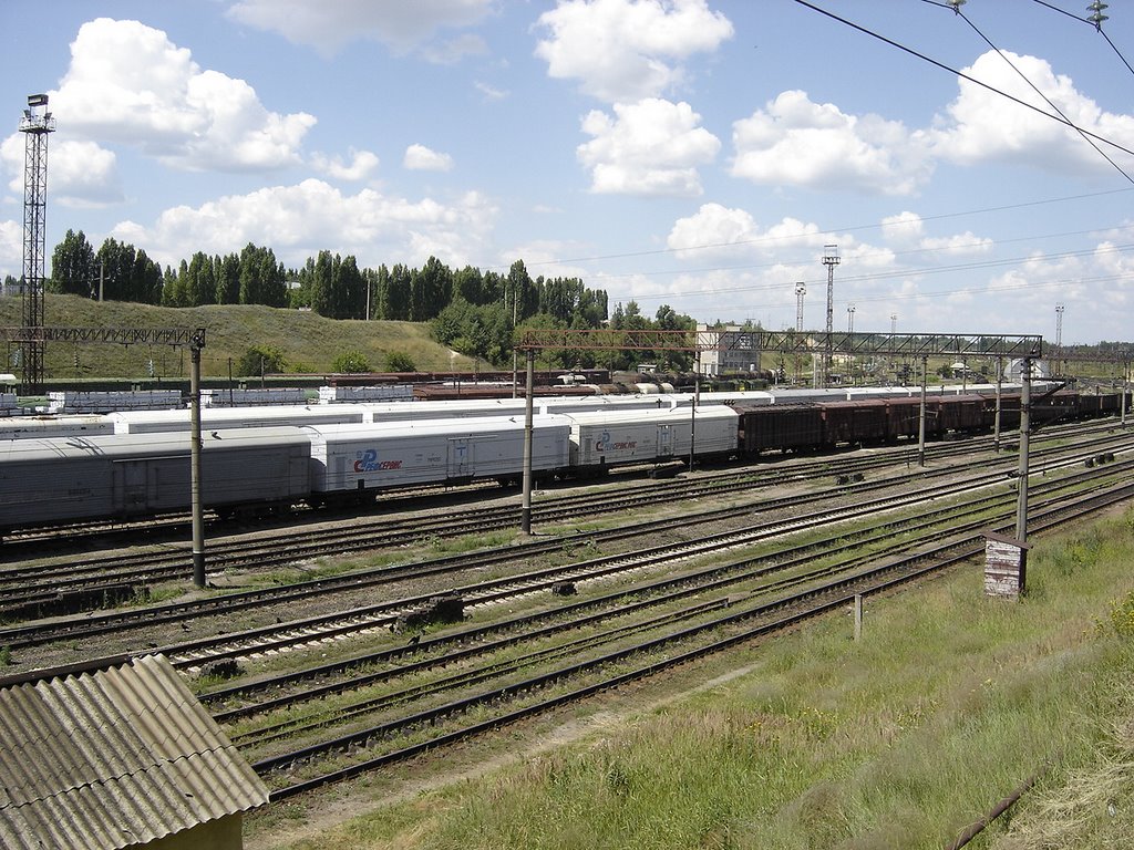 Liski. Railroad station. Freight trains / Лиски. Ж.д. станция. Грузовые составы