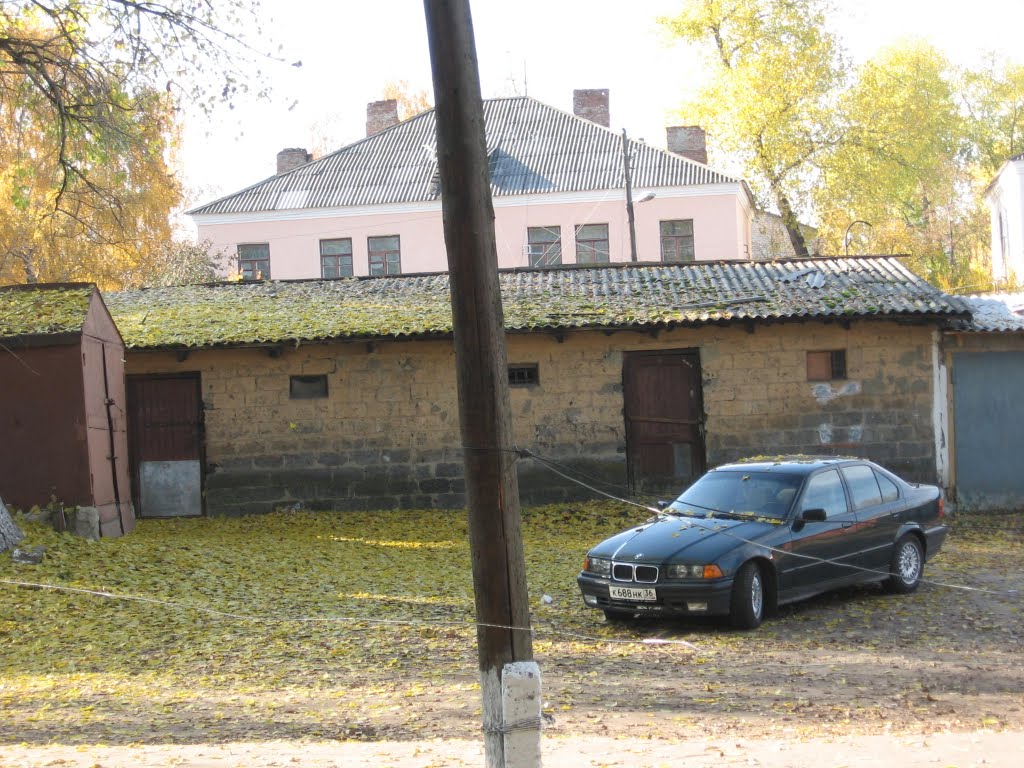 Лискинский двор. ул. Мира 1А