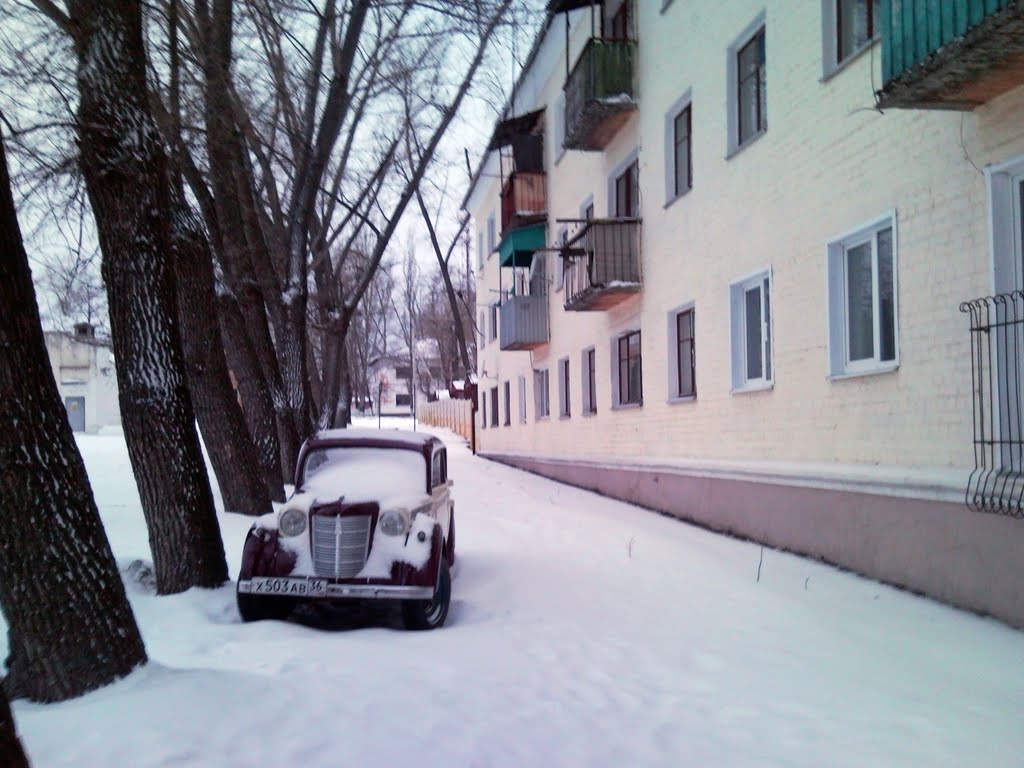 Снежная зима 2010 в Лисках
