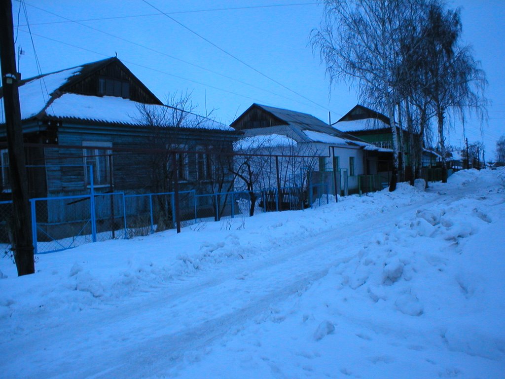 Давыдовка, Февраль 2004
