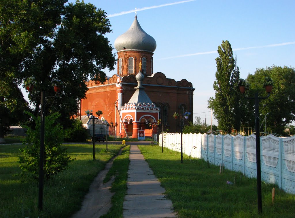 Лето 2009 г.