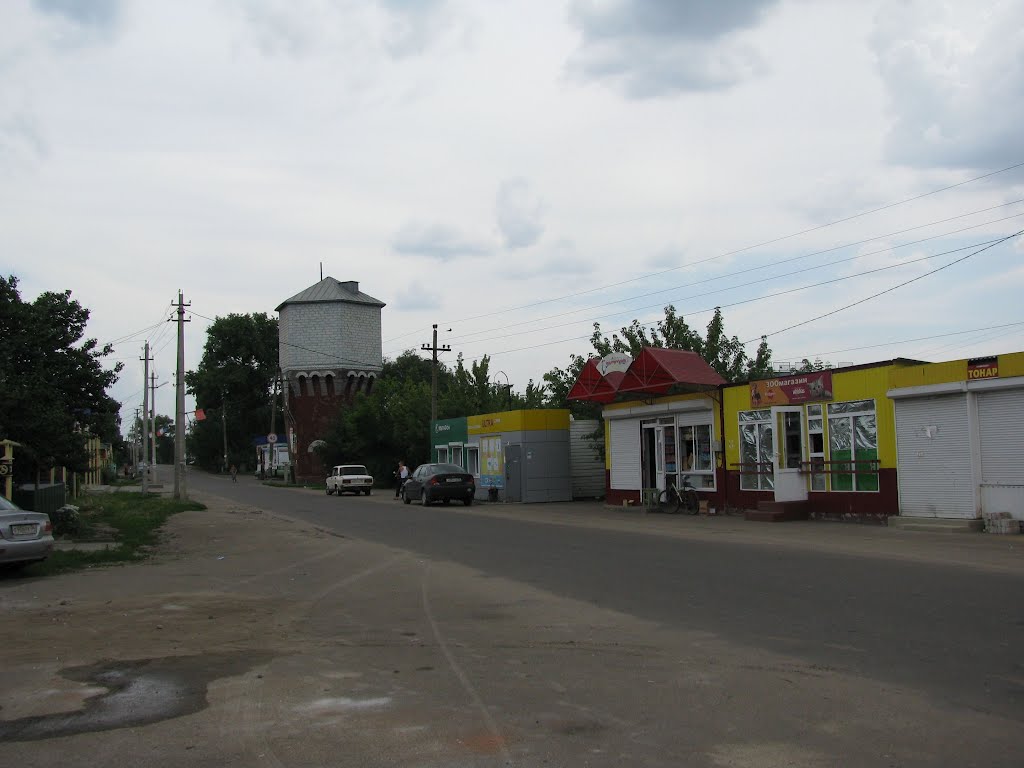 Водонапорная башня в Давыдовке