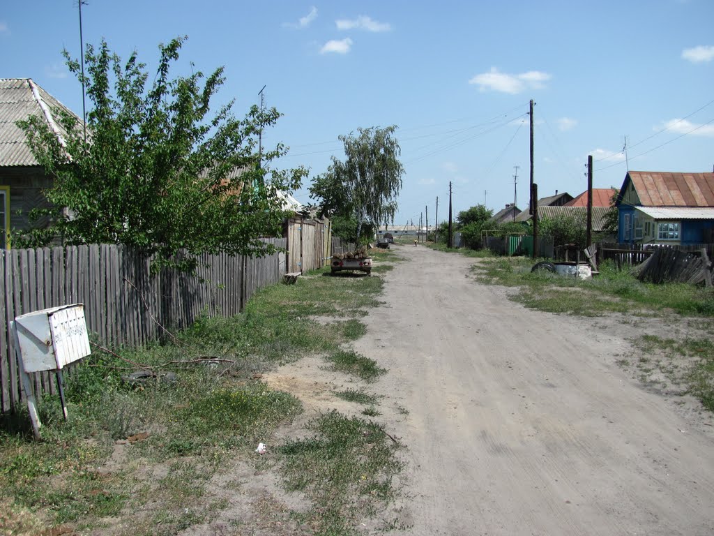 Sholokhova street, 2010