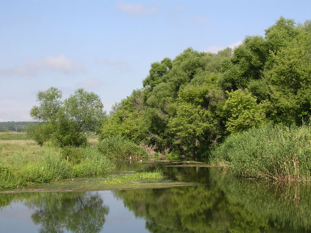 р.Тулучеевка