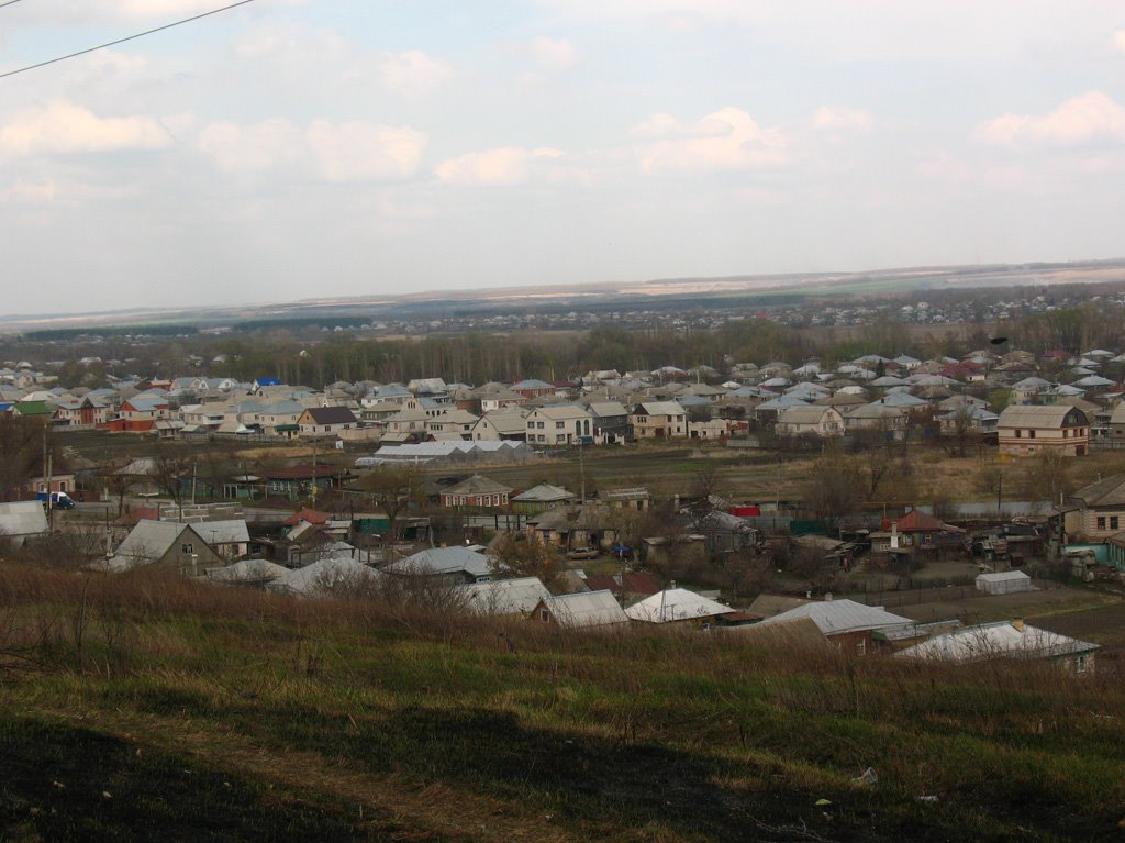 Вид из Берёзовой рощи