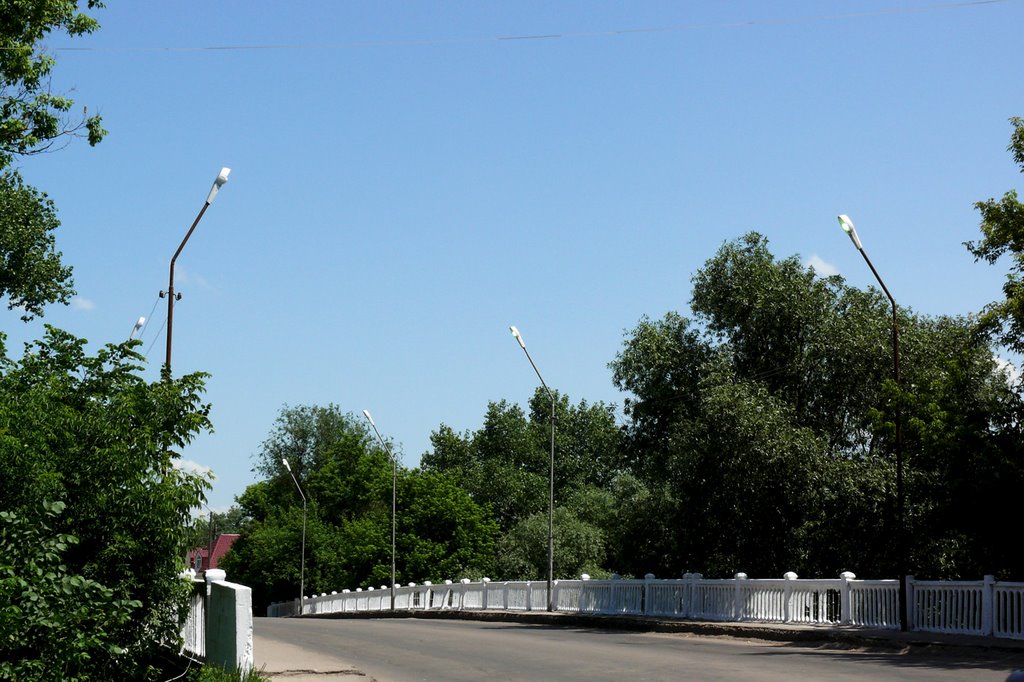 Городской мост через речку Толучеевка