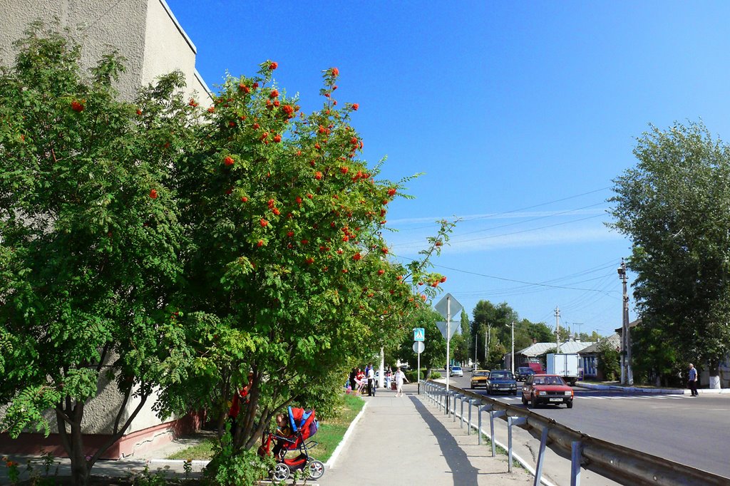Центральная улица города