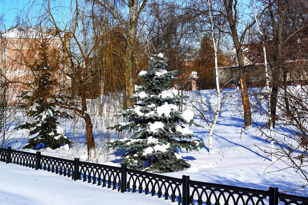 Центр города. Парк.