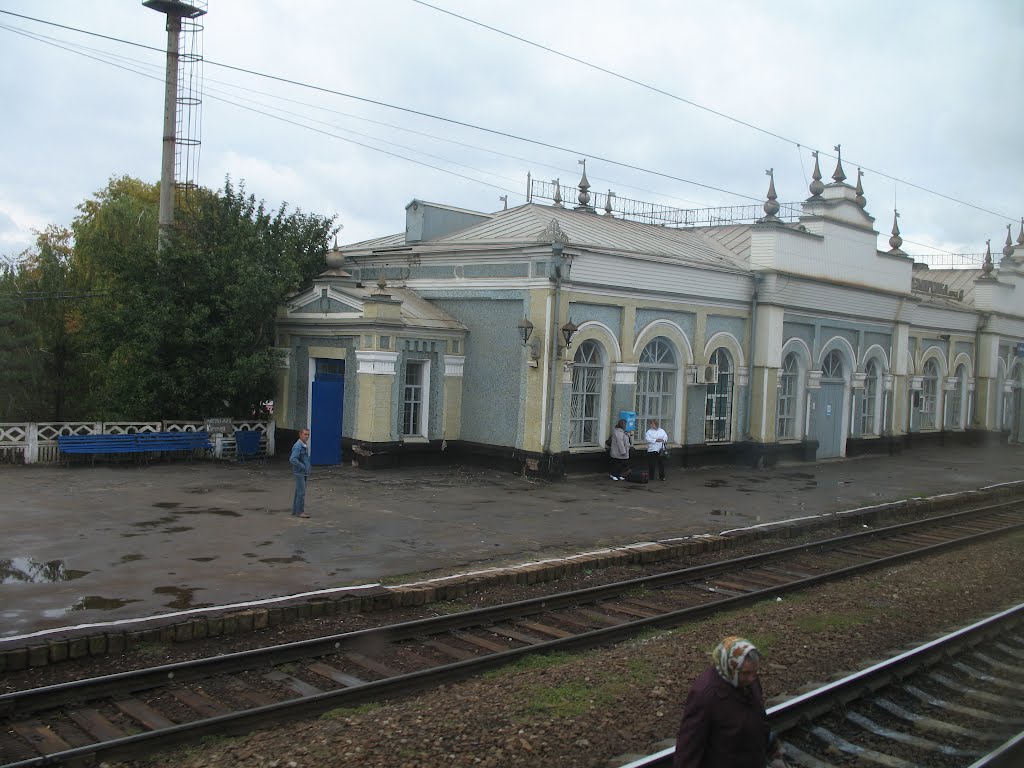 ст.Кантемировка (вид из поезда)