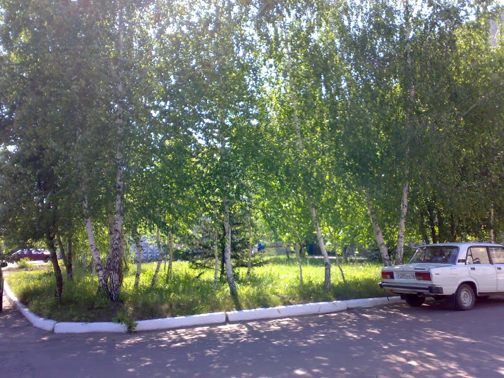 Нижнедевицкая ЦРБ (двор)