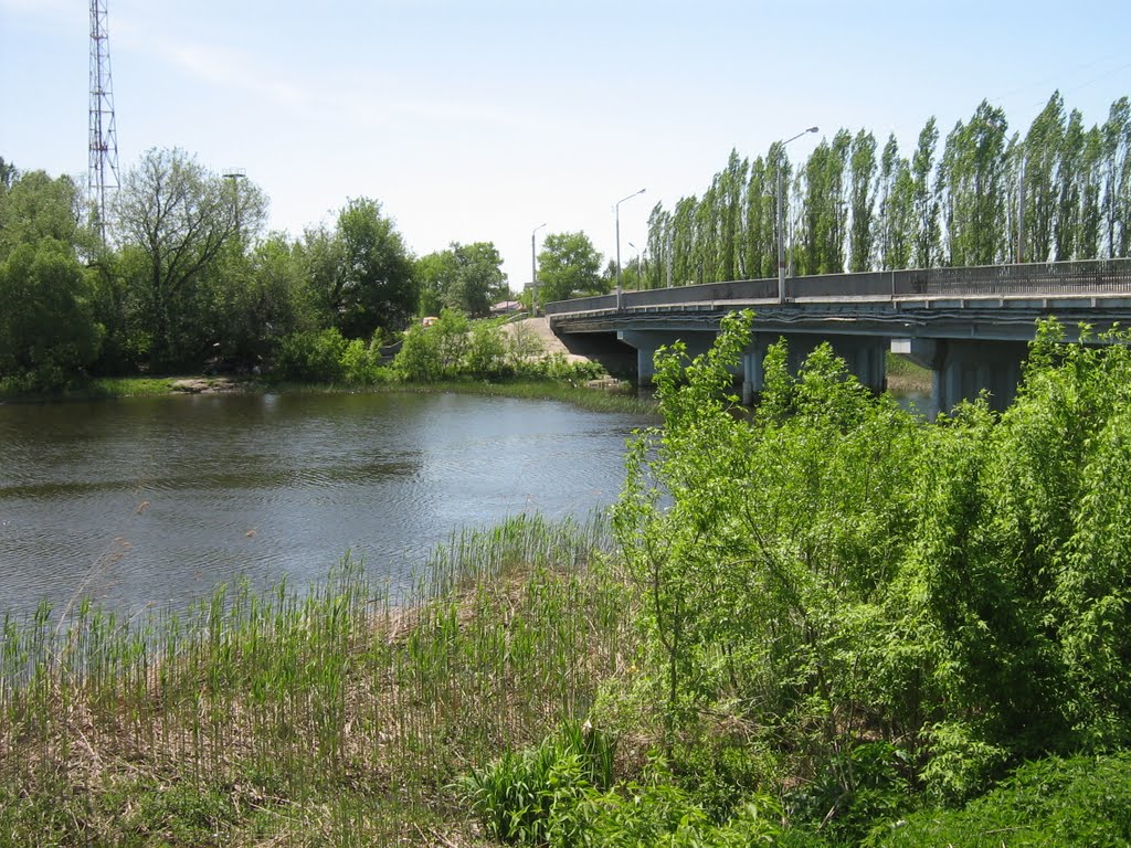 Podkletnoye
