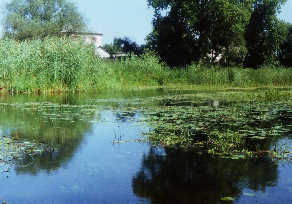 усманка 2000 г.