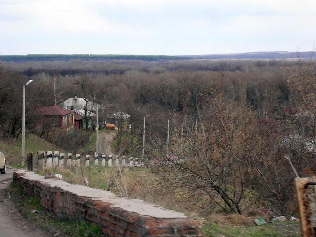 Сверху вниз