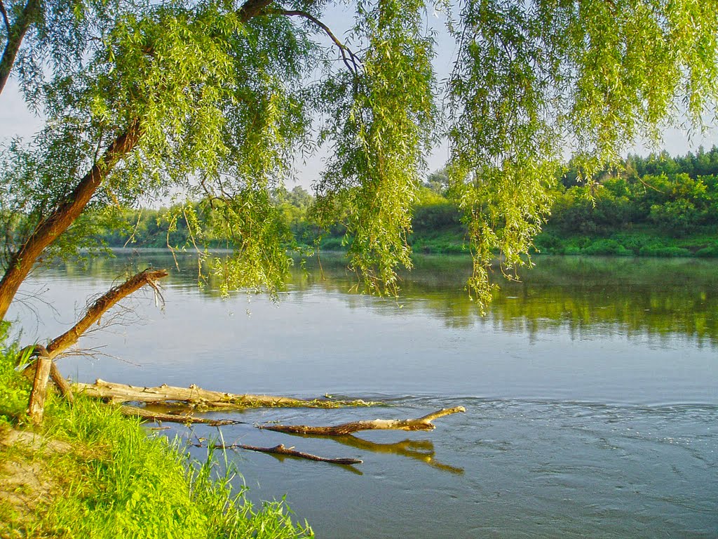 На берегу Хопра